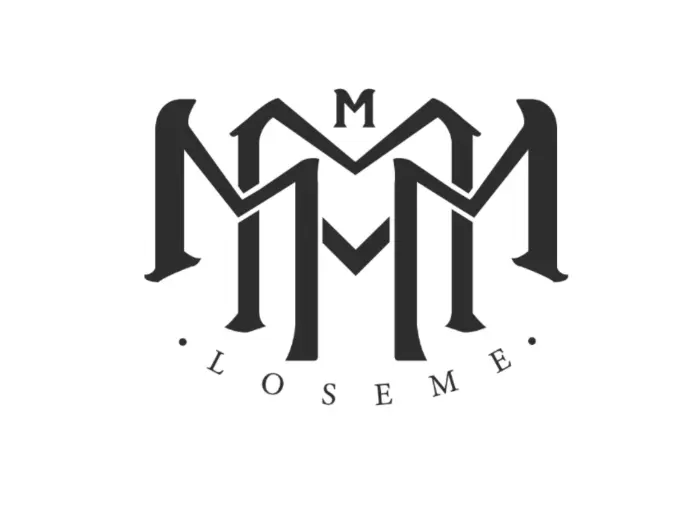 https://www.loseme.com.mx/